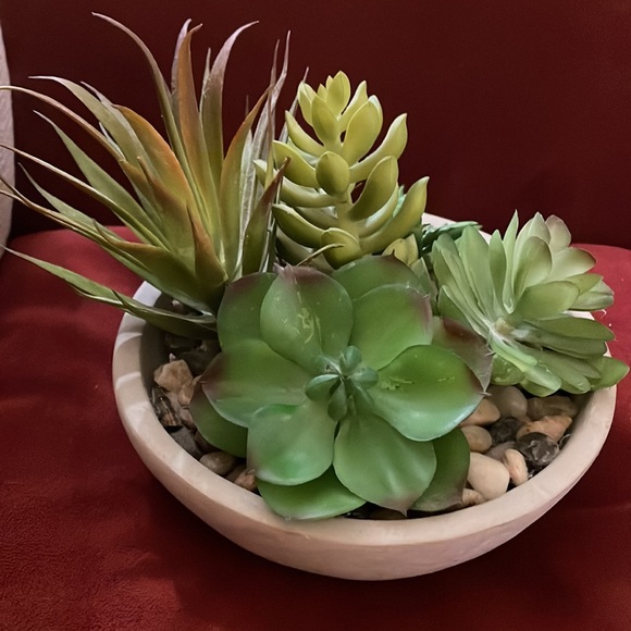 5 Artificial Succulent Plants Small Faux Cacti Mini Potted Plants Indoor Decor - Picture 2 of 6